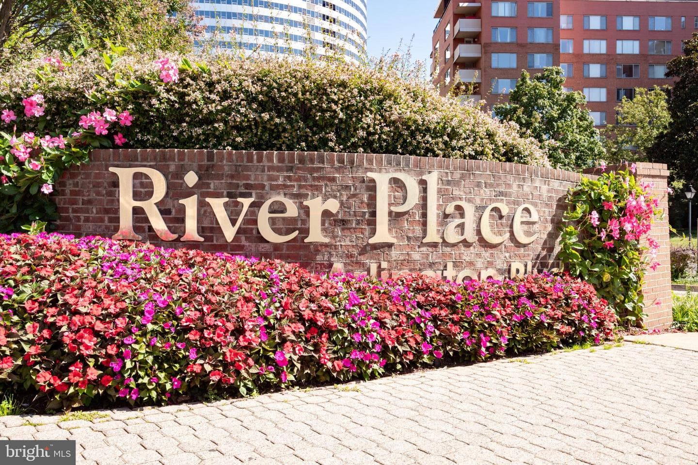 1011 Arlington Boulevard #1112 photo 27