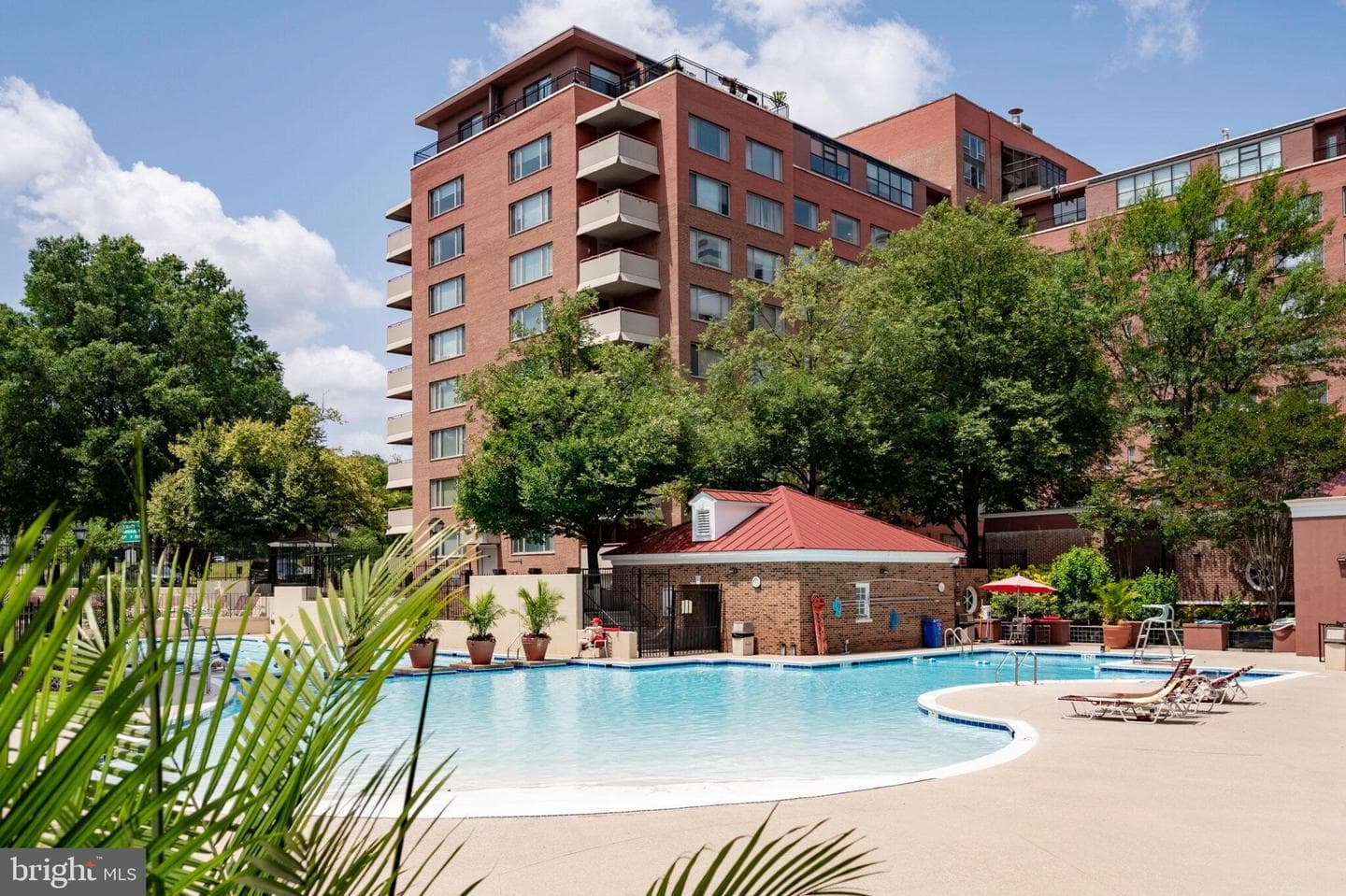 1011 Arlington Boulevard #1112 photo 34