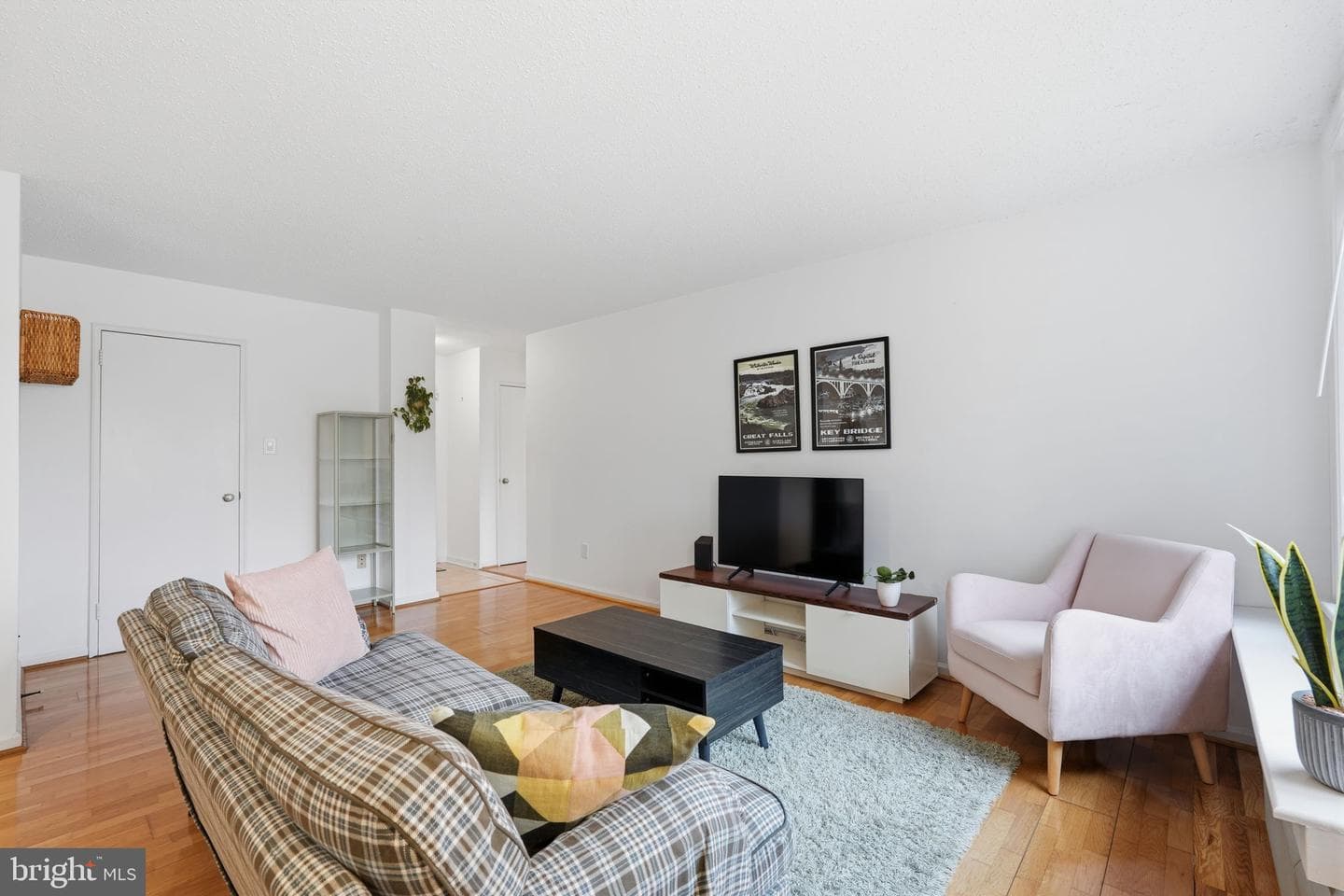 1730 Arlington Boulevard #202 photo 4