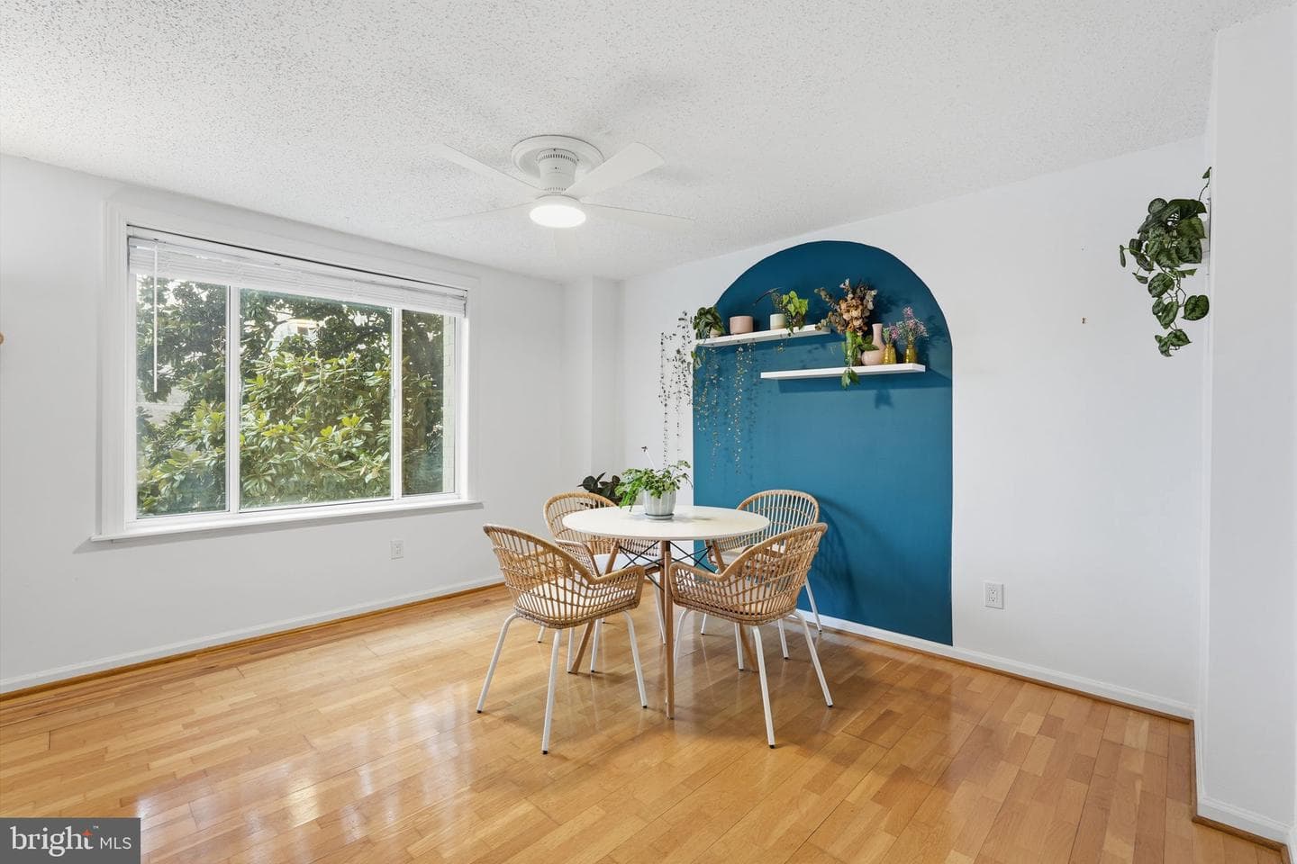 1730 Arlington Boulevard #202 photo 5