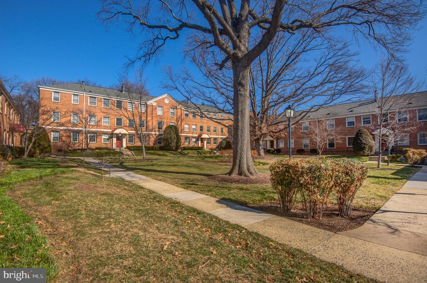 2509 Arlington Boulevard #301 photo 2