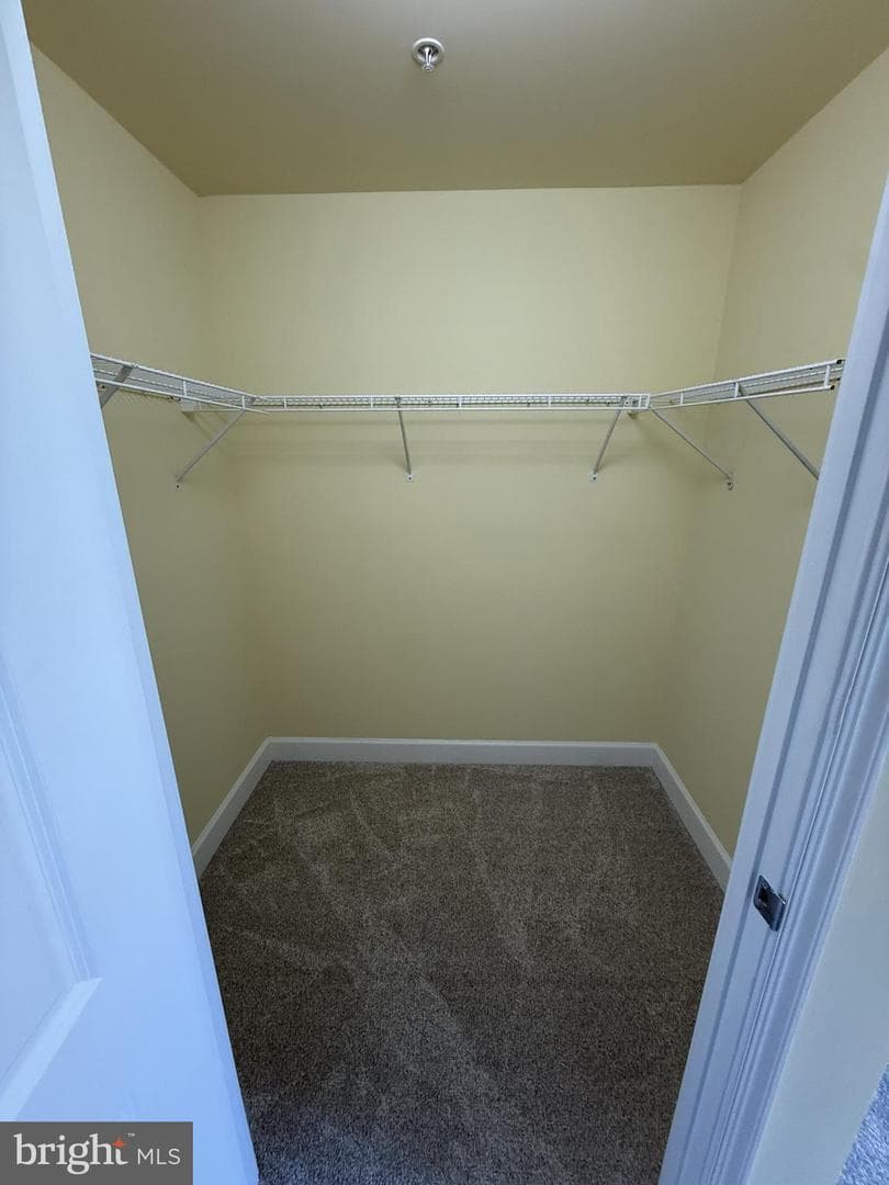3600 S Glebe Road #1013w photo 10