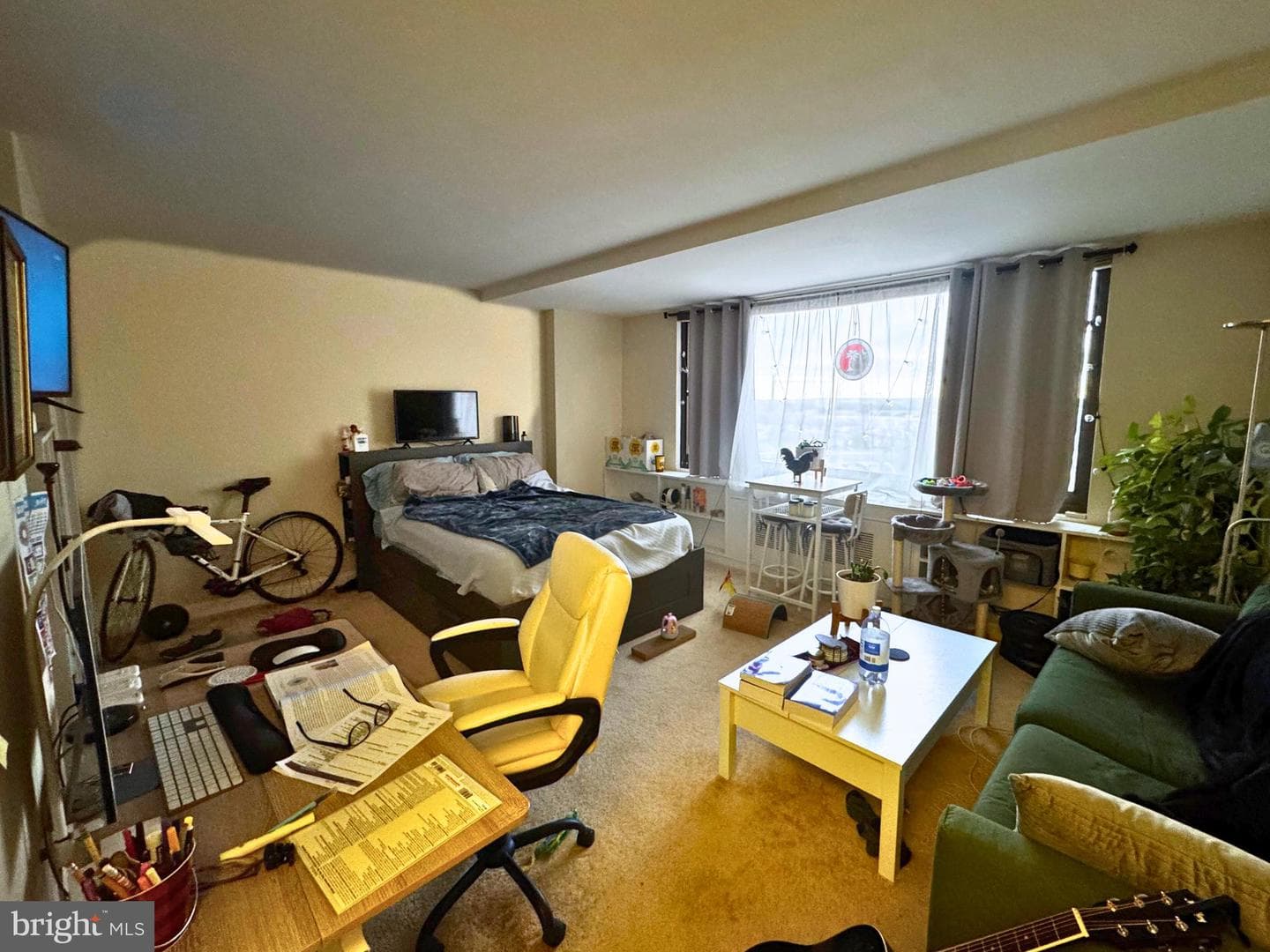 1011 Arlington Boulevard #423 photo 12