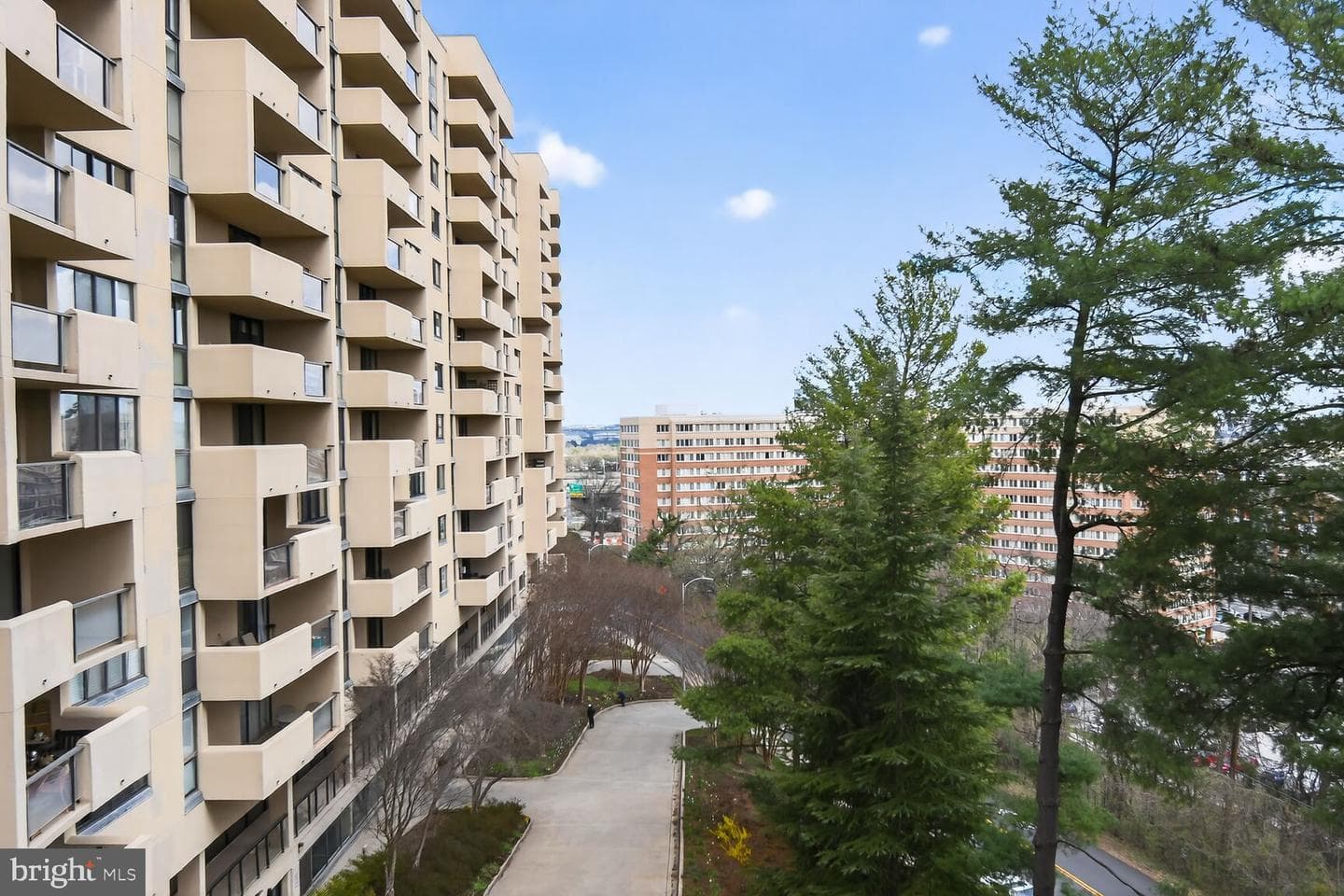 1101 S Arlington Ridge Road #504 photo 27