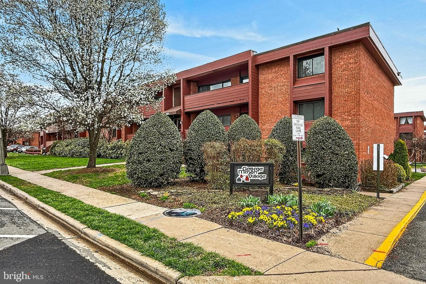 1503 S George Mason Drive #23