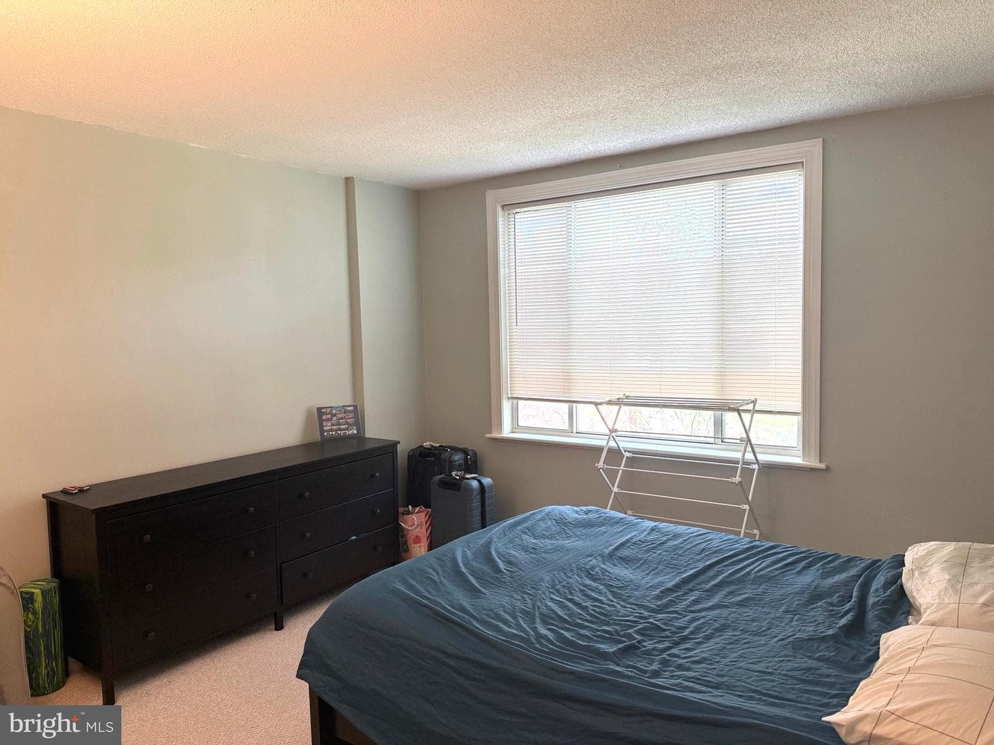 1730 Arlington Boulevard #506 photo 7