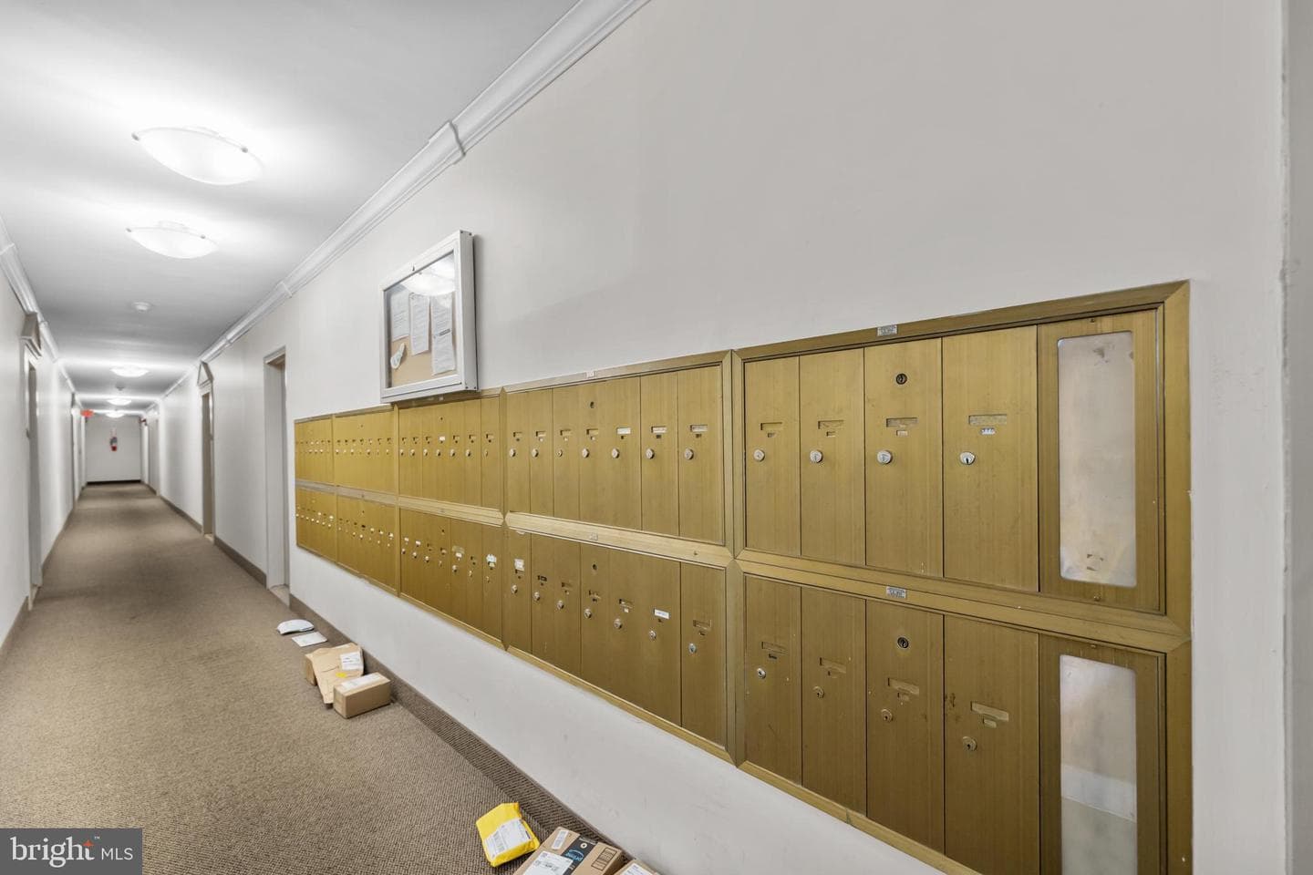 3601 5th Street S #105 photo 35