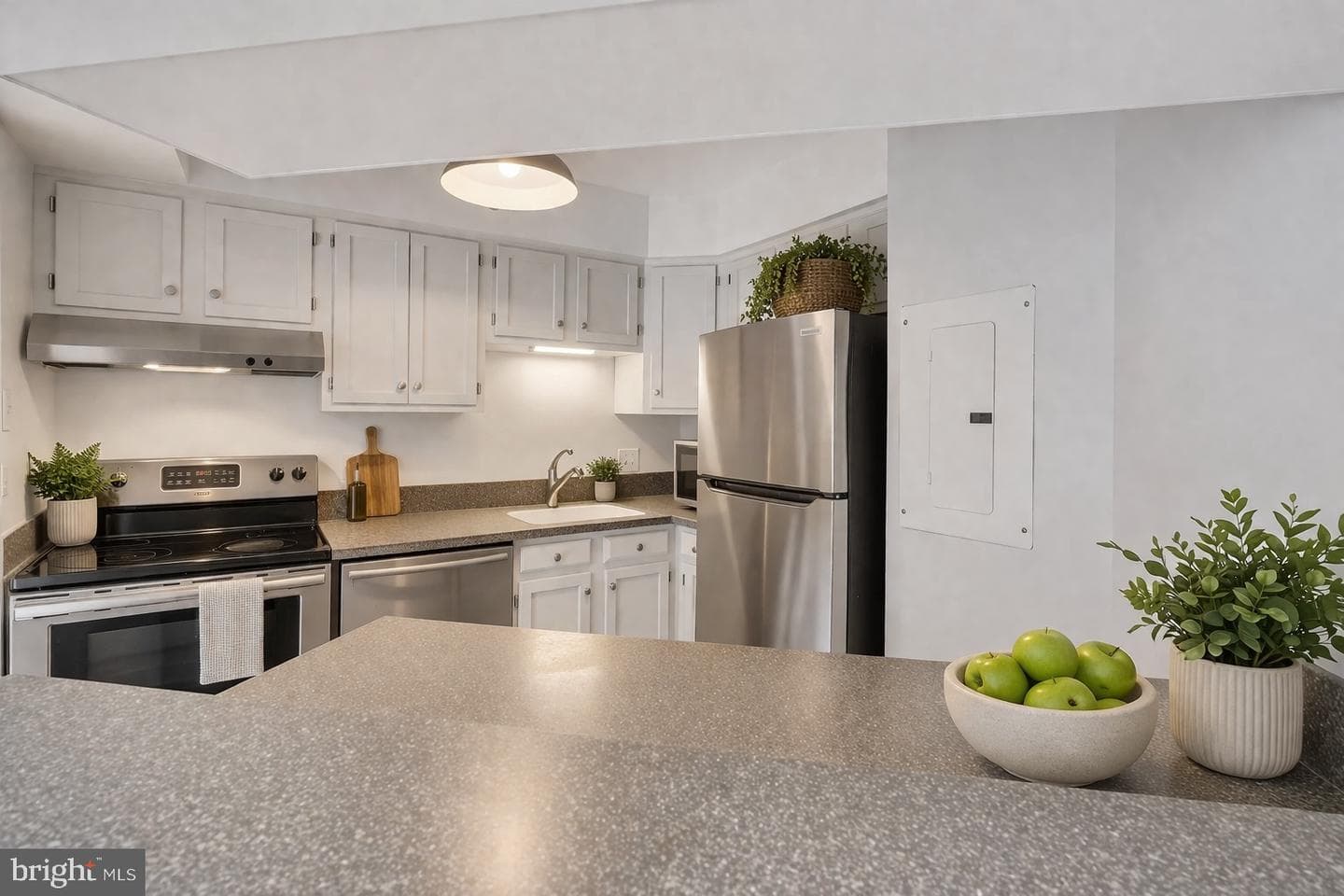 1301 N Courthouse Road #1007 photo 5