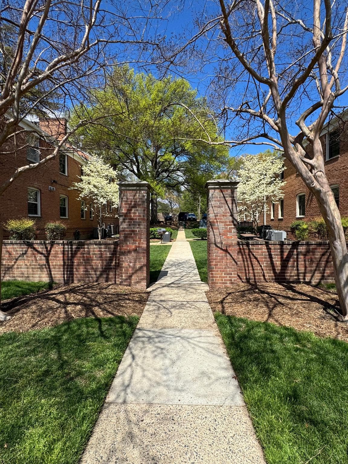 2603 Arlington Boulevard #39 photo 5
