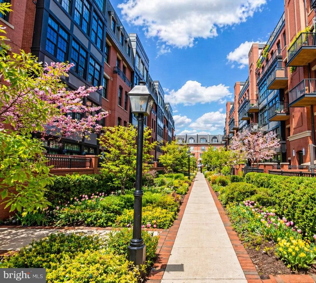 1610 N Queen Street #241 photo 42