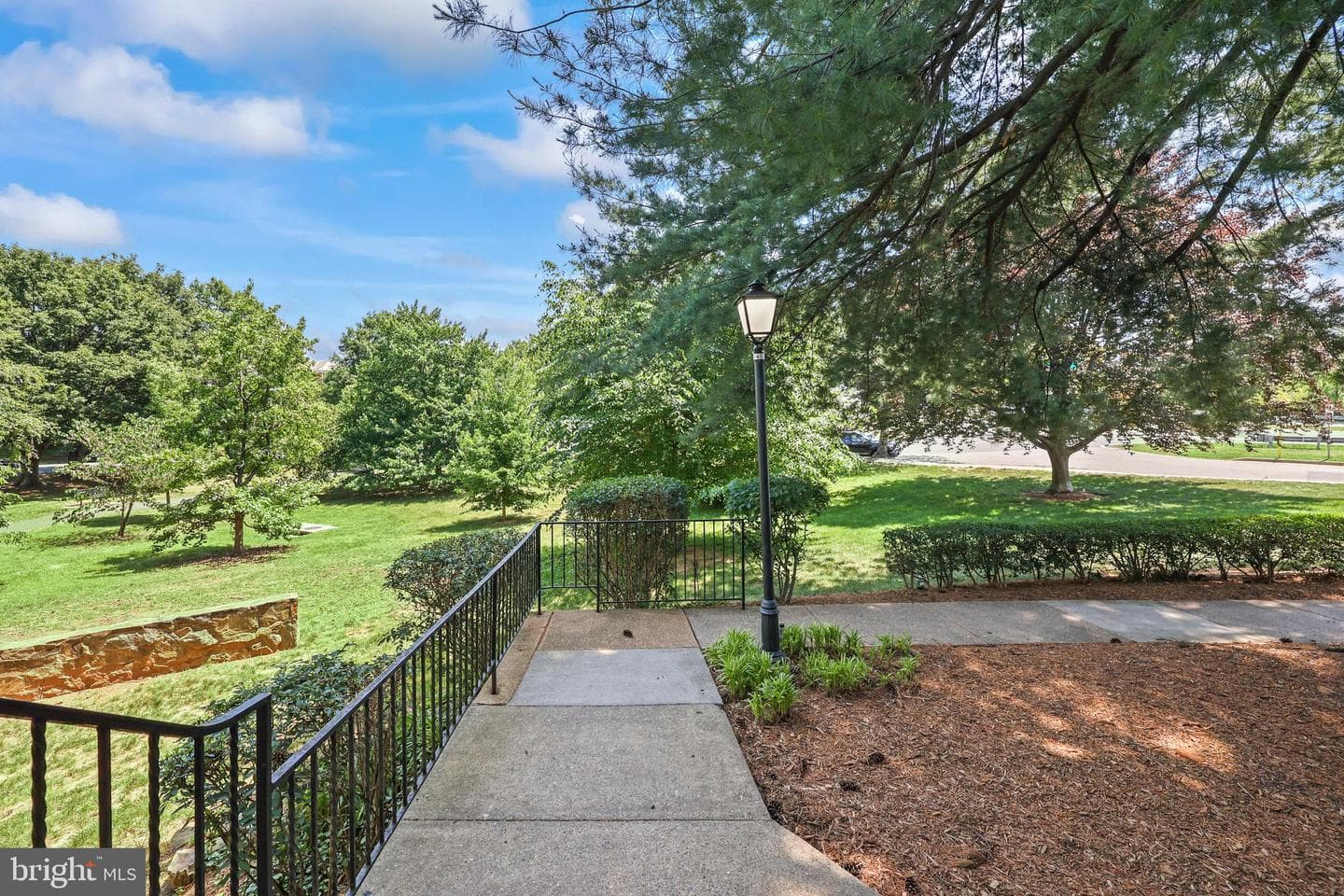 2401 Arlington Boulevard #101 photo 14