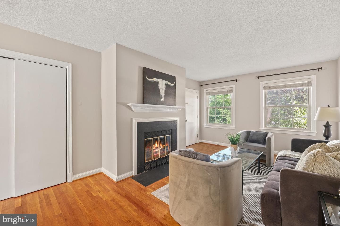 2401 Arlington Boulevard #101 photo 5