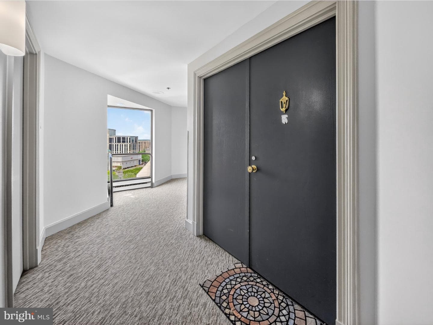 1301 N Courthouse Road #1803 photo 24