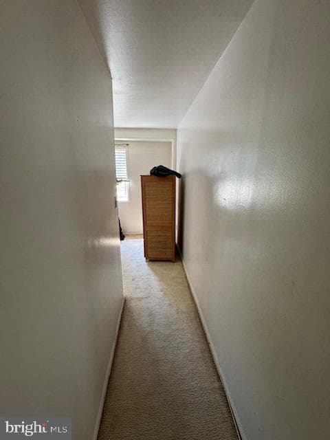 1508 S George Mason Drive #12 photo 6