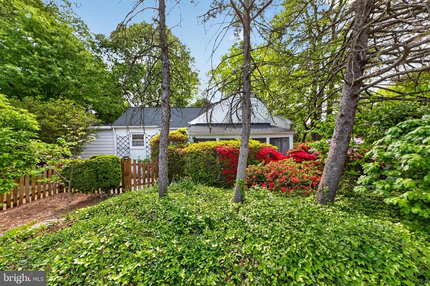 2245 Buchanan St N photo 19