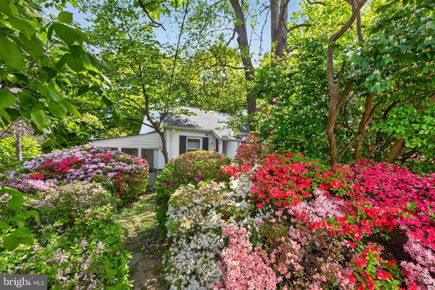 2245 Buchanan St N photo 20