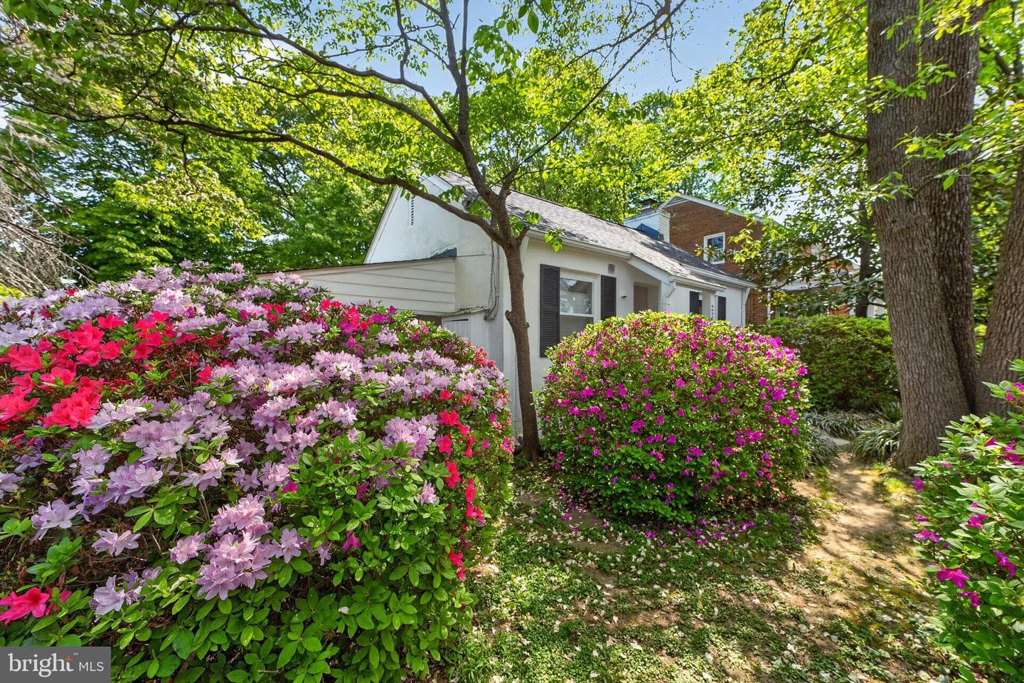 2245 Buchanan St N photo 21