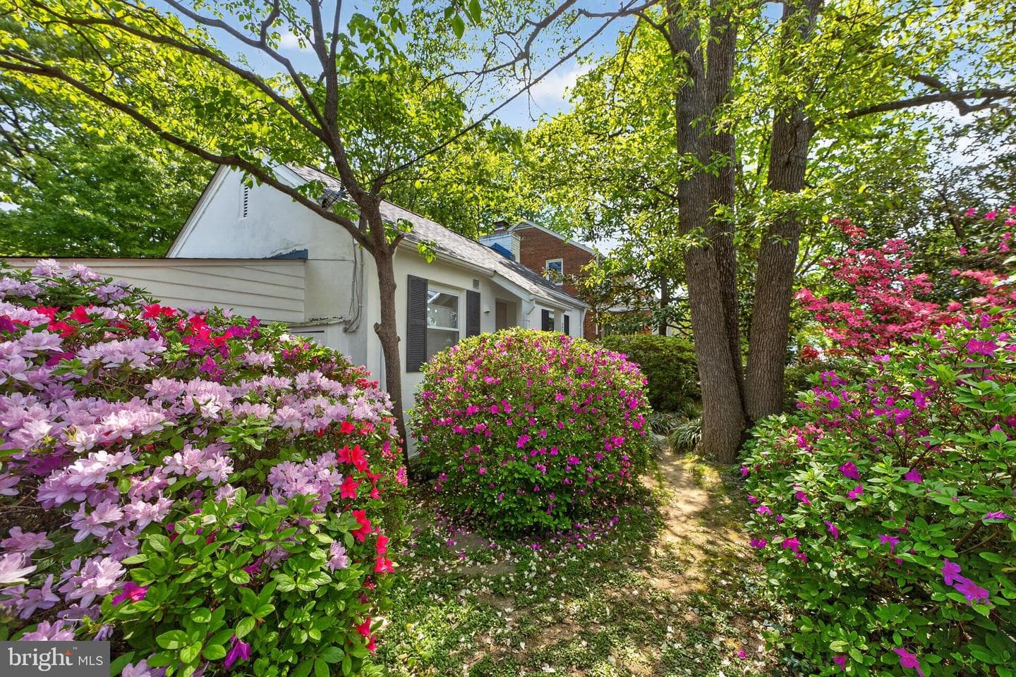2245 Buchanan St N photo 24