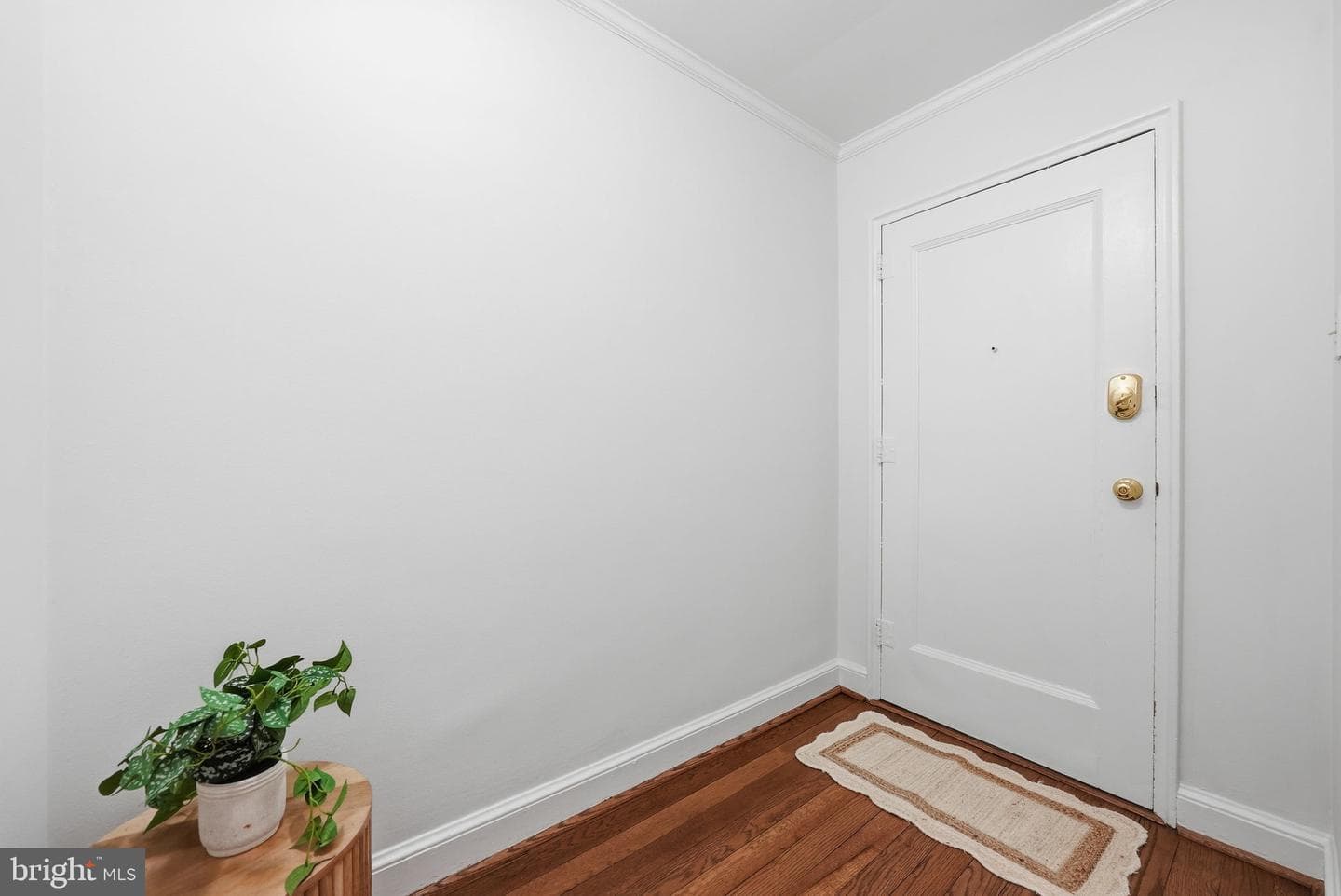 2900 13th Street S #102 photo 7