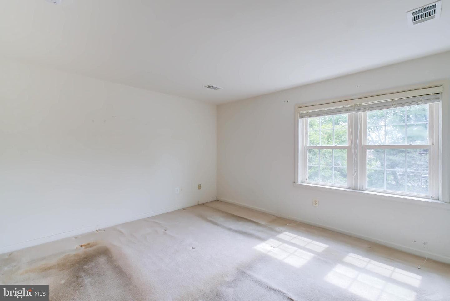 6712 Langston Boulevard #c photo 27
