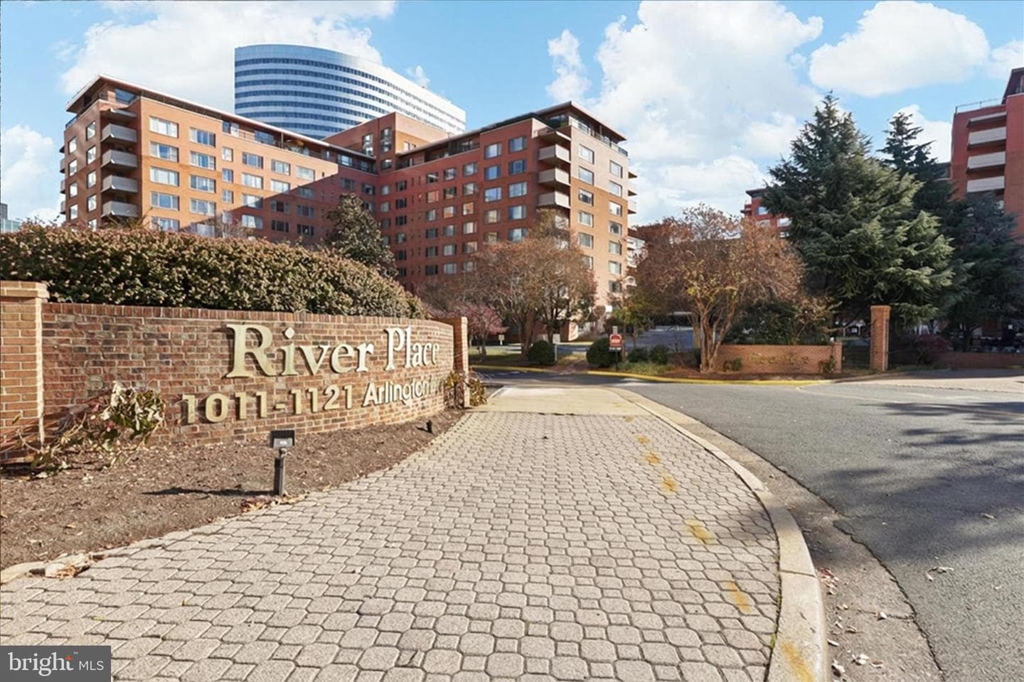 1011 Arlington Boulevard #513 photo 4