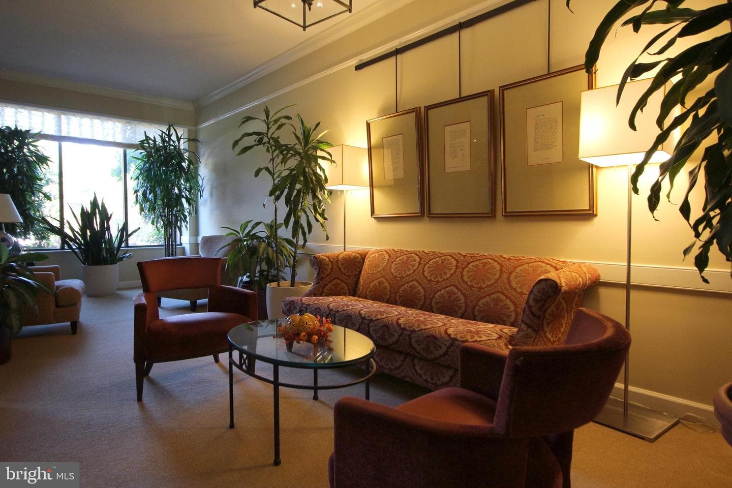 2100 Langston Boulevard #540 photo 2