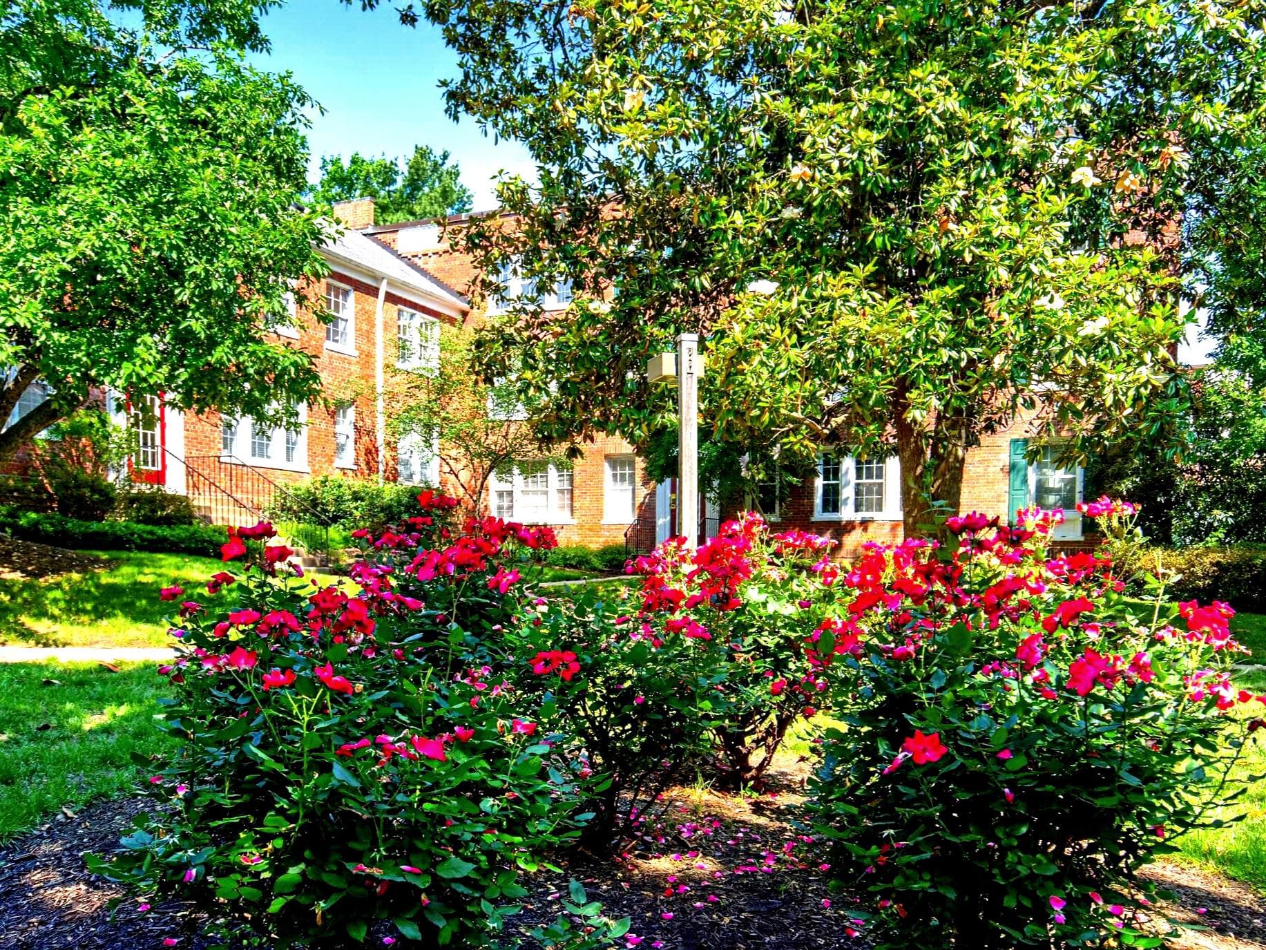 1811 Key Boulevard #10532, Arlington
