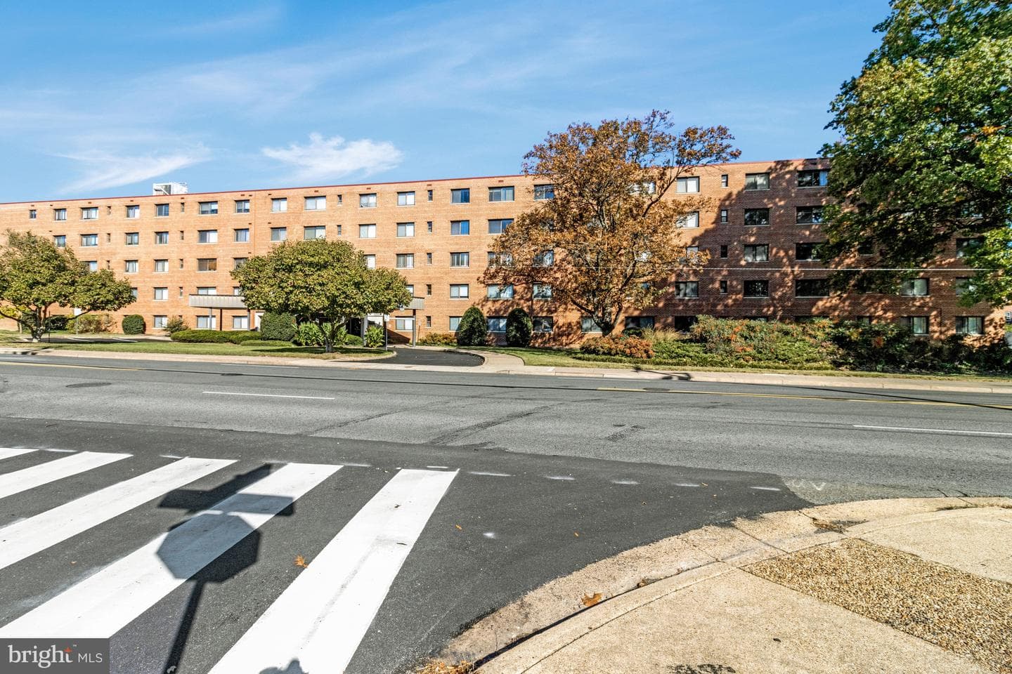 3515 Washington Blvd # 207 photo 6