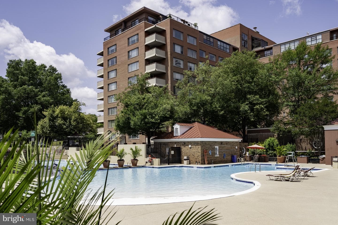 1111 Arlington Boulevard #707 photo 41