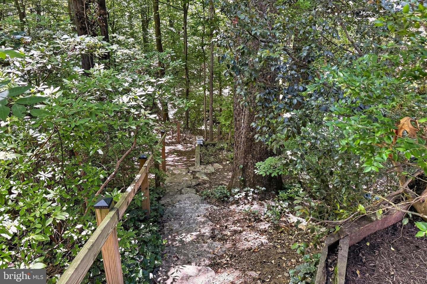 204 N Evergreen Street photo 56