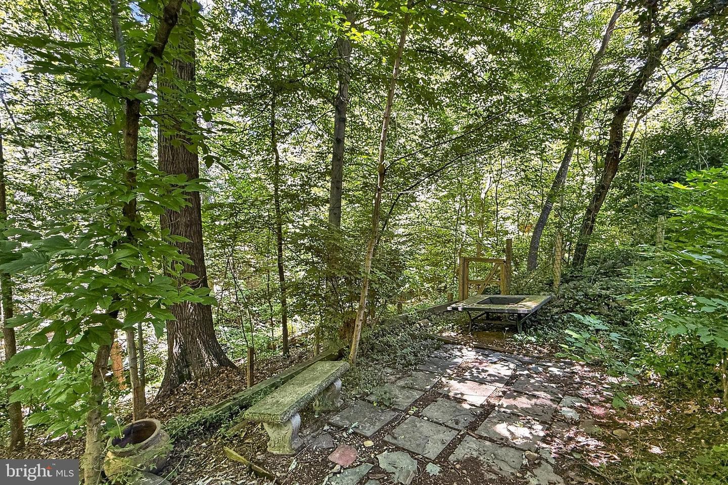204 N Evergreen Street photo 57