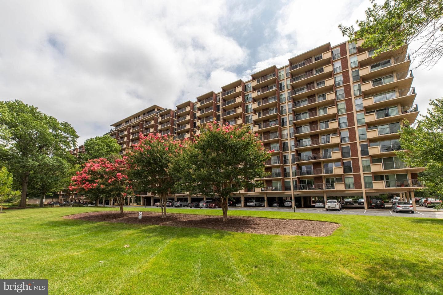 1300 Army Navy Drive #814, Arlington