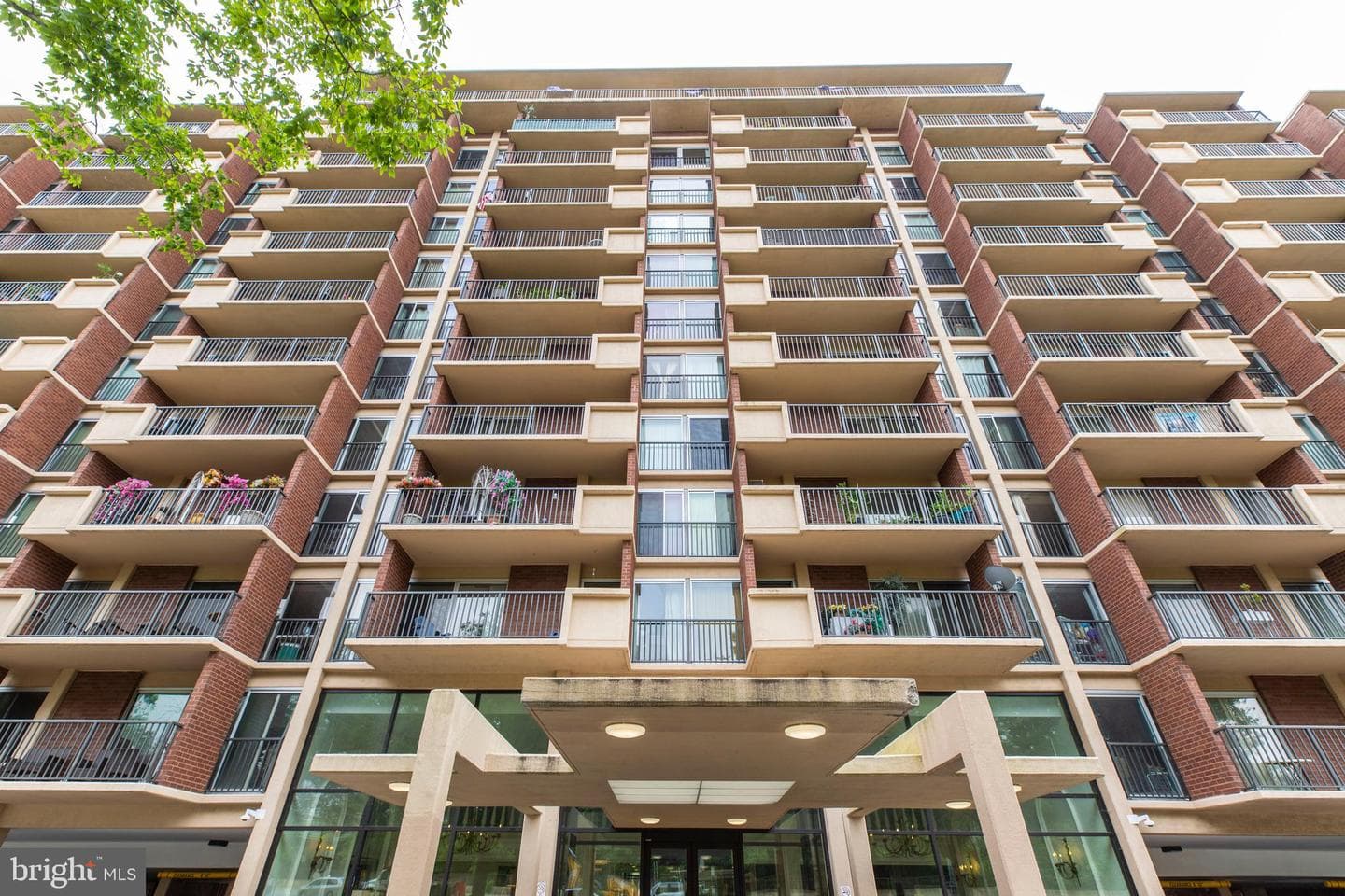1300 Army Navy Drive #814, Arlington