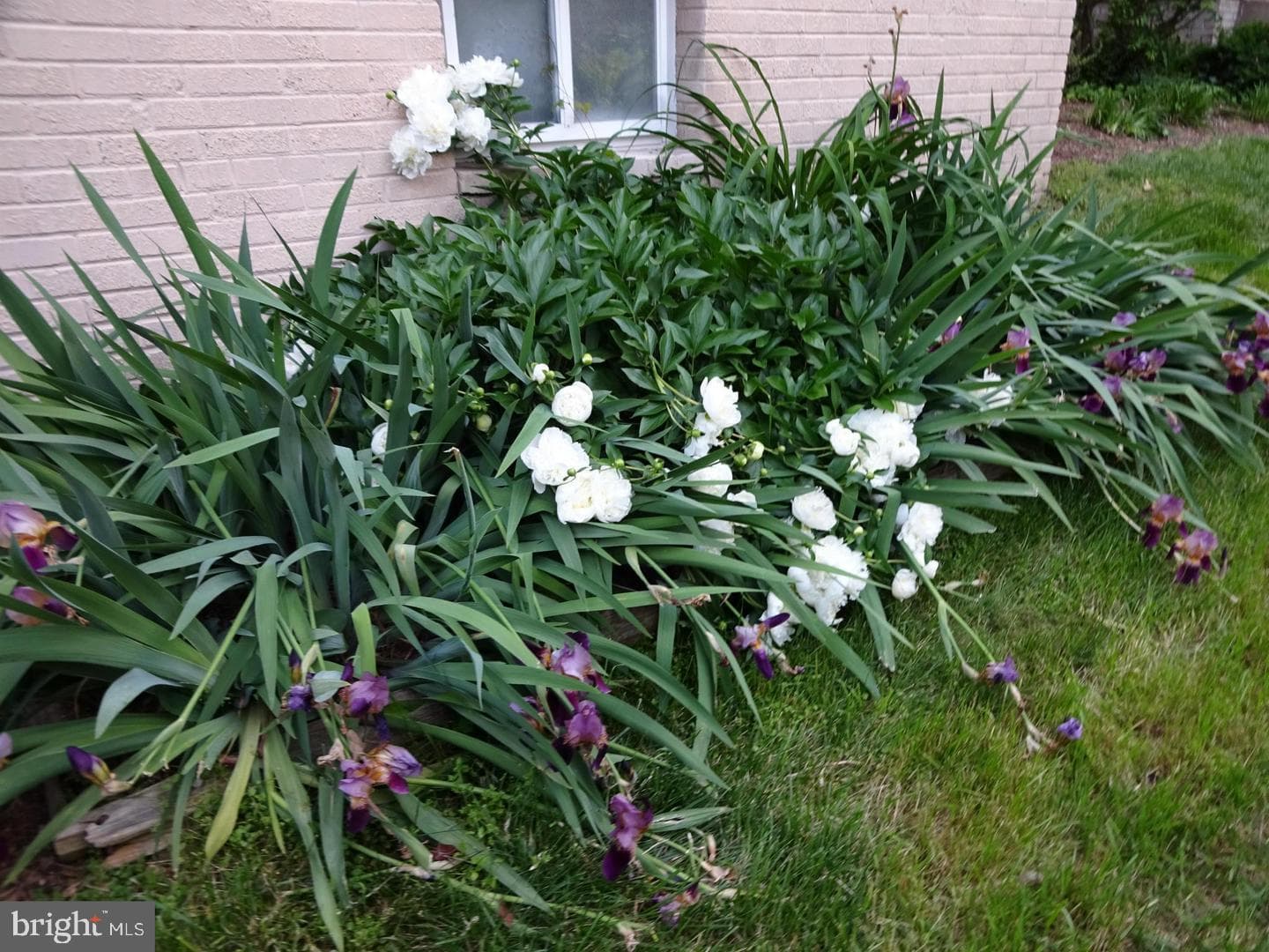 704 S Arlington Mill Drive #17101 photo 16