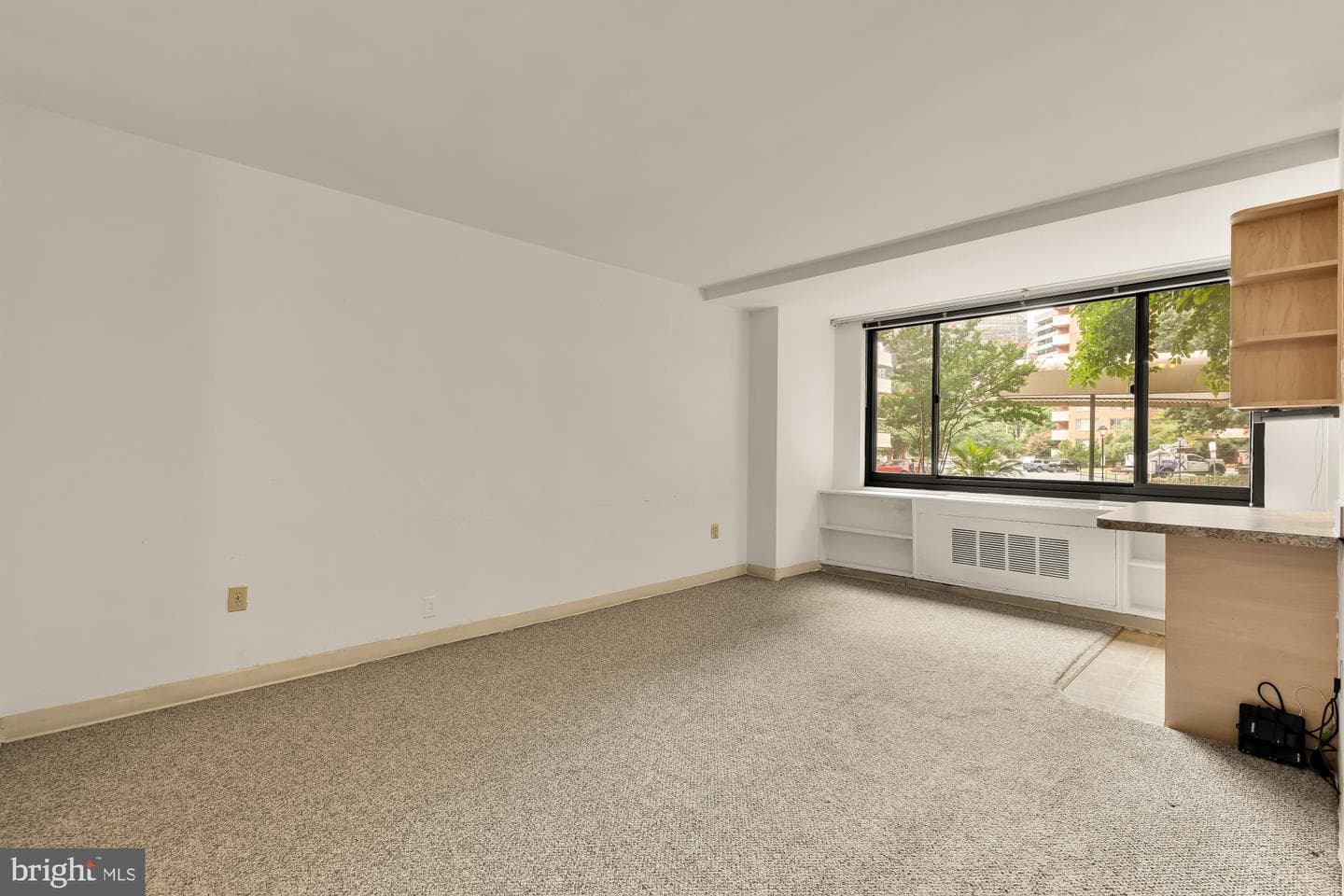 1021 Arlington Boulevard #446 photo 3