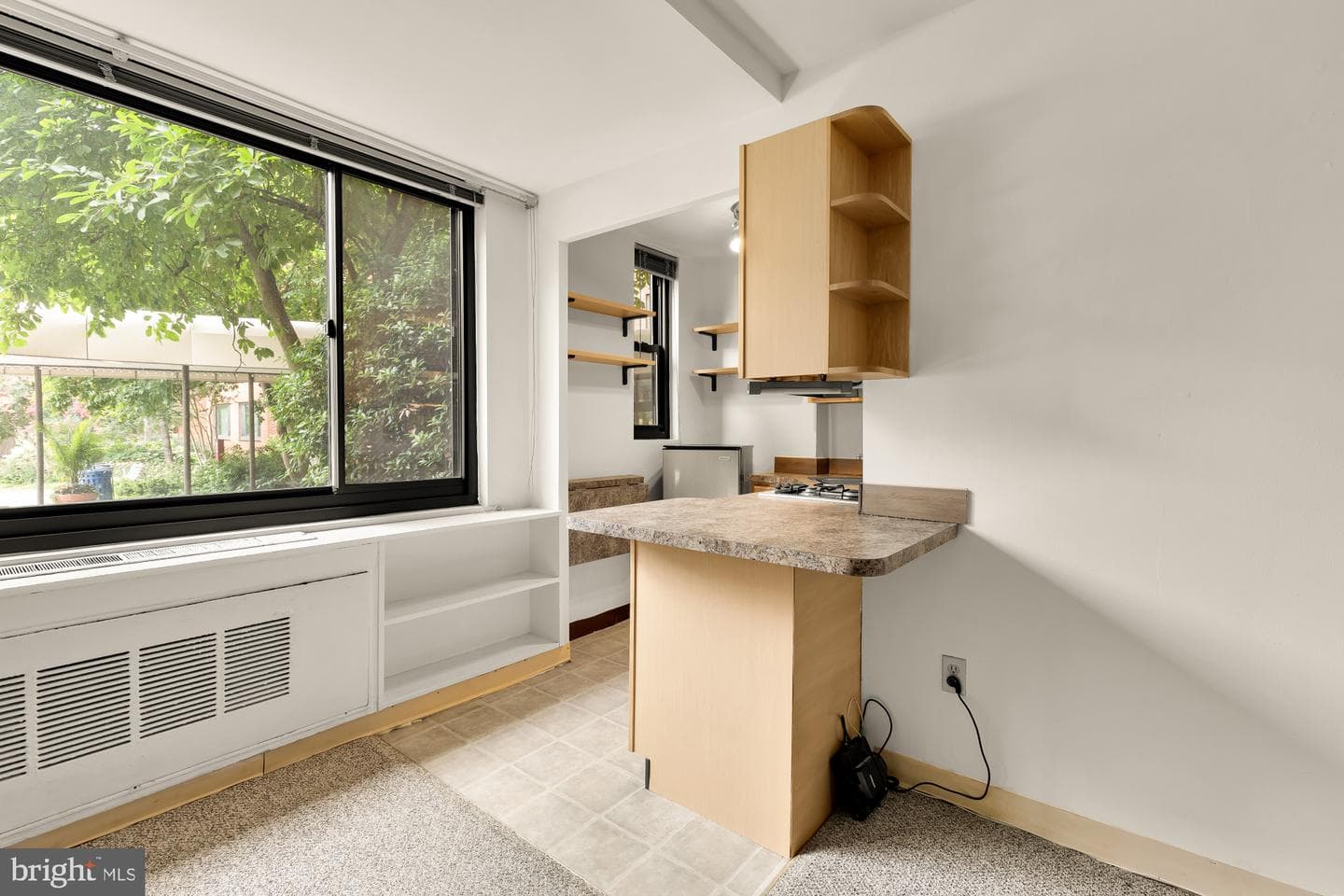 1021 Arlington Boulevard #446 photo 5