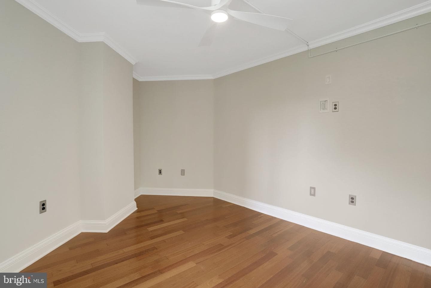 1001 N Randolph Street #302 photo 17
