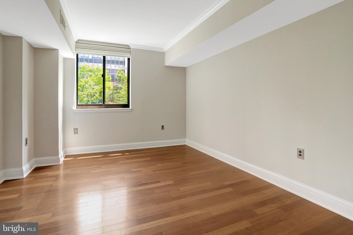 1001 N Randolph Street #302 photo 27