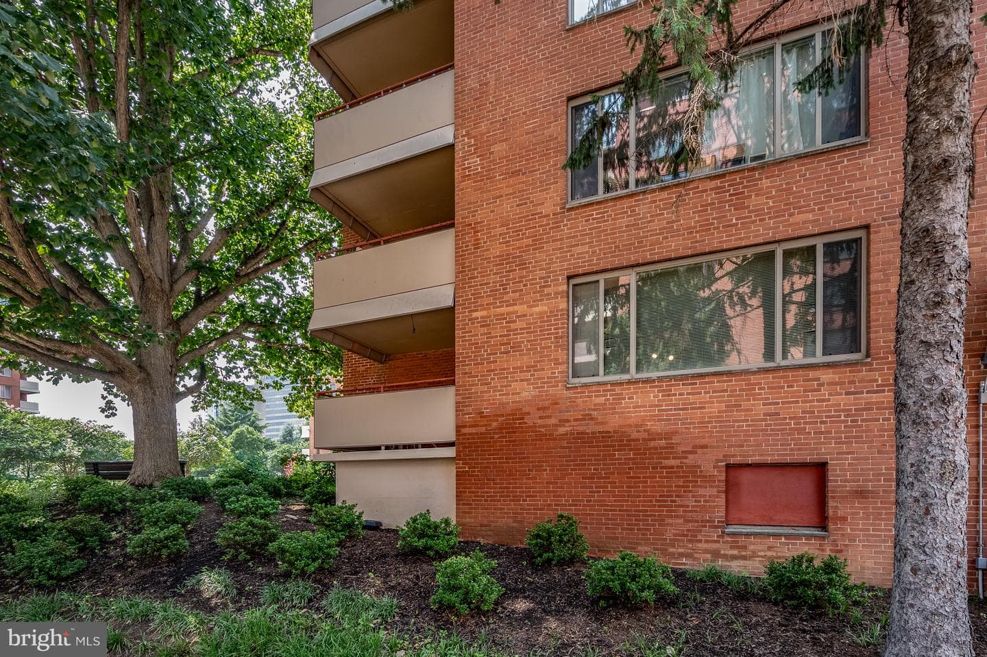 1121 Arlington Boulevard #206 photo 34