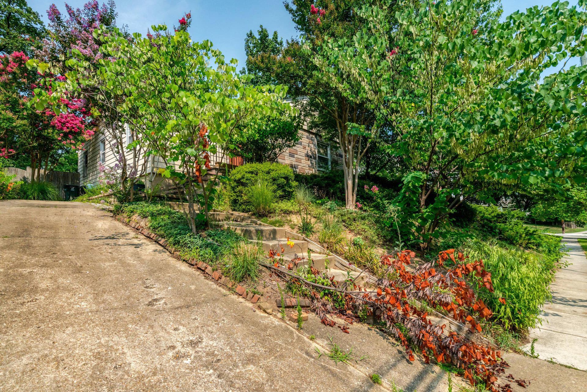 1208 S Frederick Street photo 3