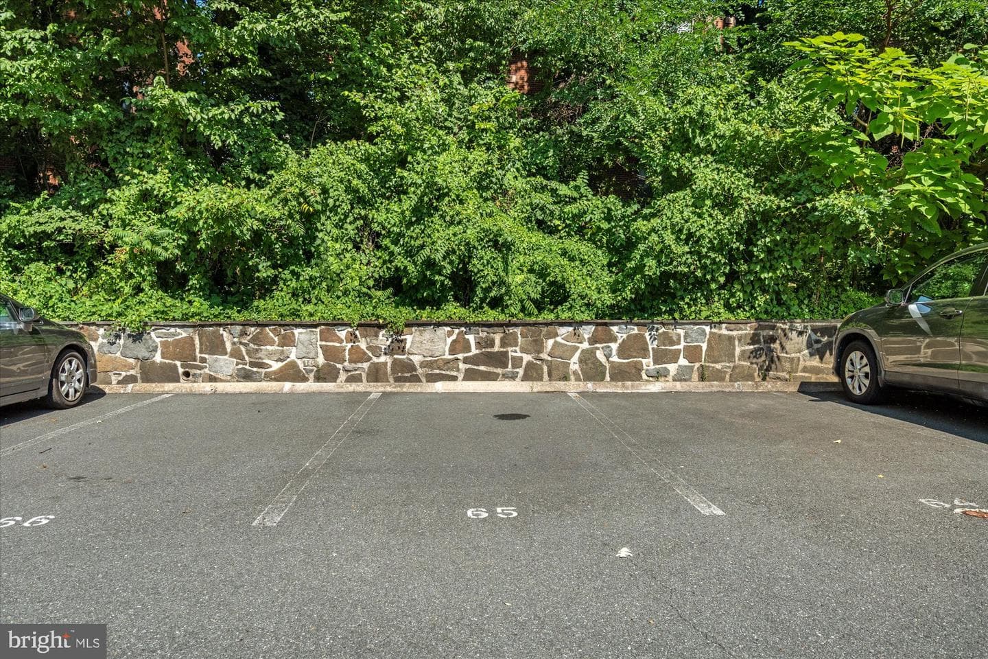 1730 Arlington Boulevard #4 photo 34