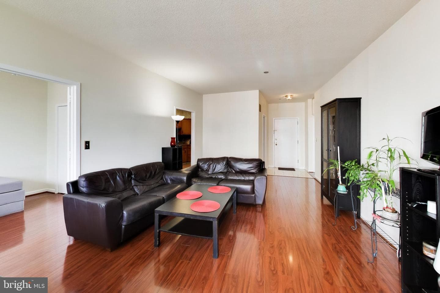 1805 Crystal Drive #1102s photo 7