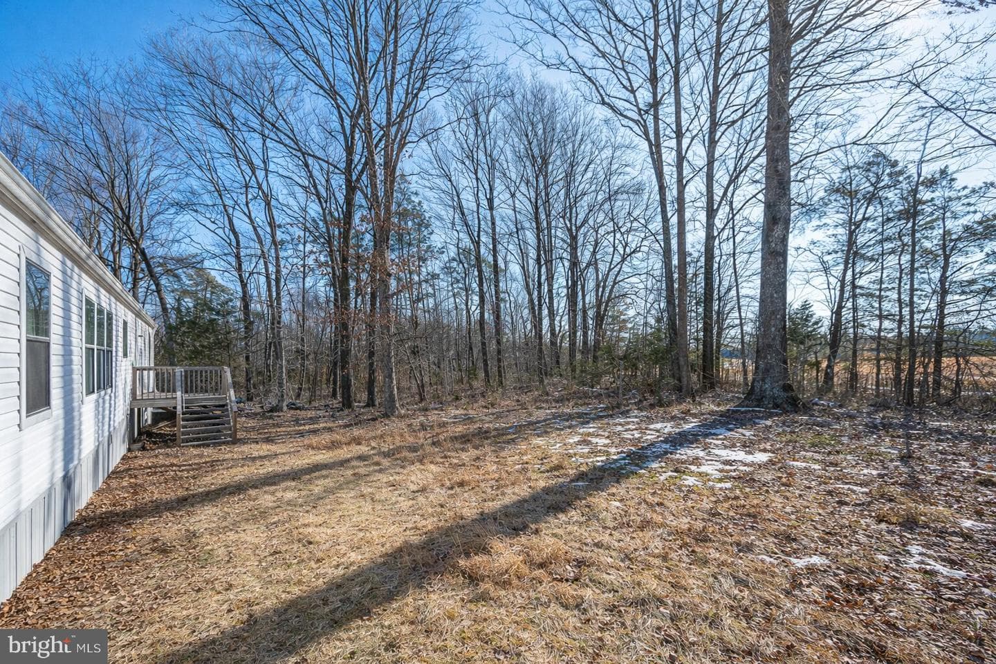 1142 Spring Grove photo 4