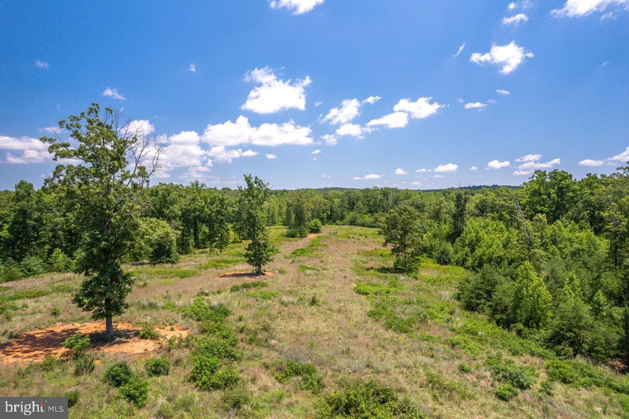 342 White Tail Road photo 12
