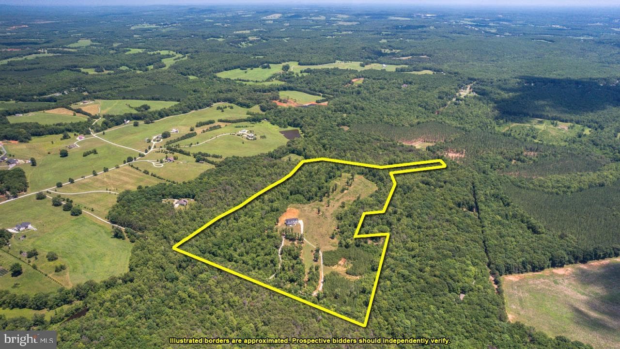 342 White Tail Road photo 3