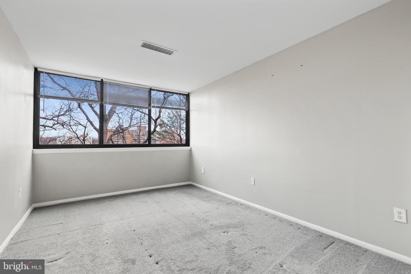 8 S Van Dorn Street #502 photo 12