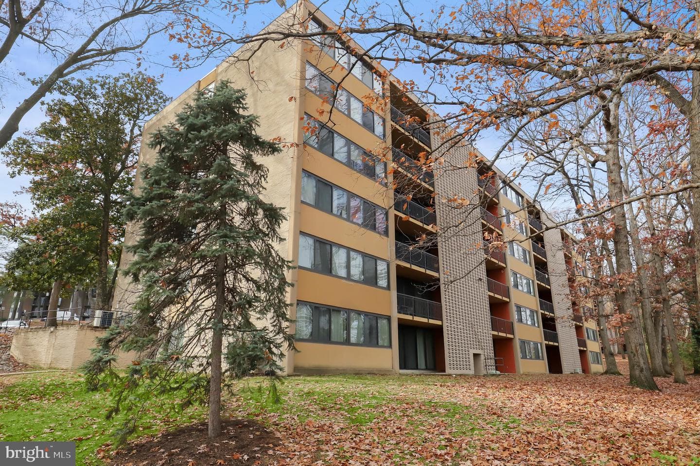 8 S Van Dorn Street #502 photo 20