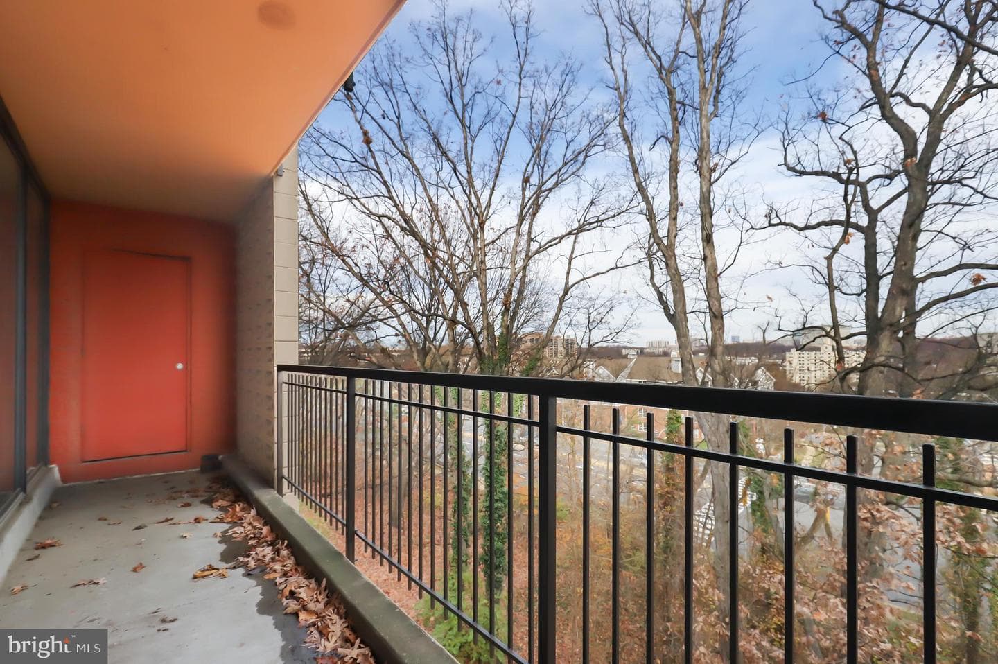 8 S Van Dorn Street #502 photo 22