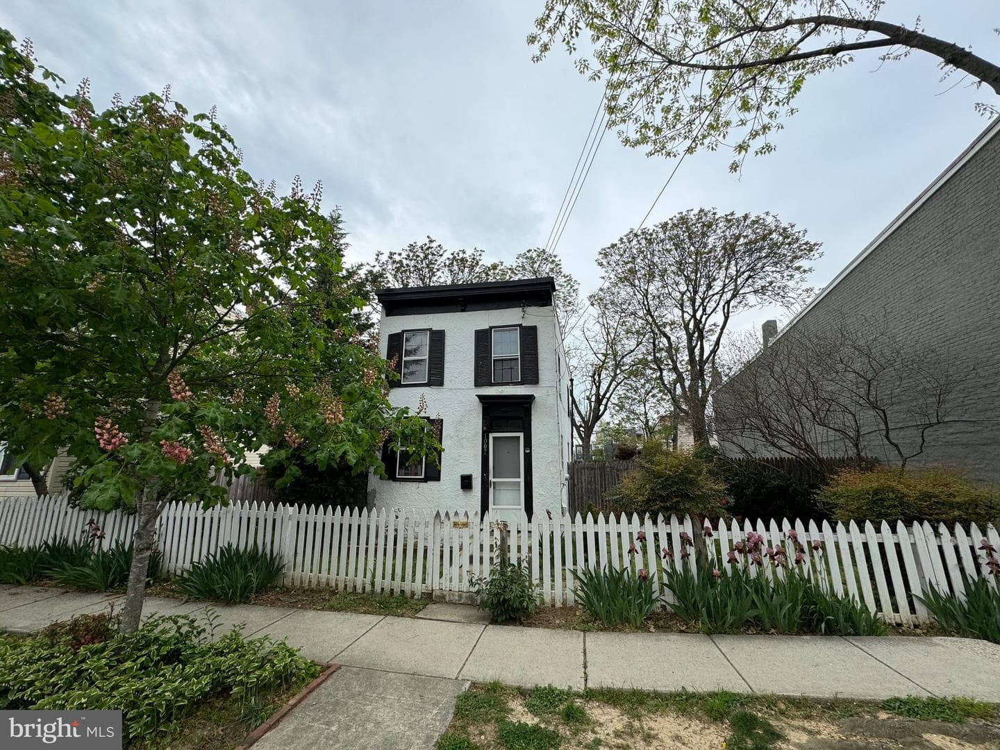 1007 Oronoco Street photo 2