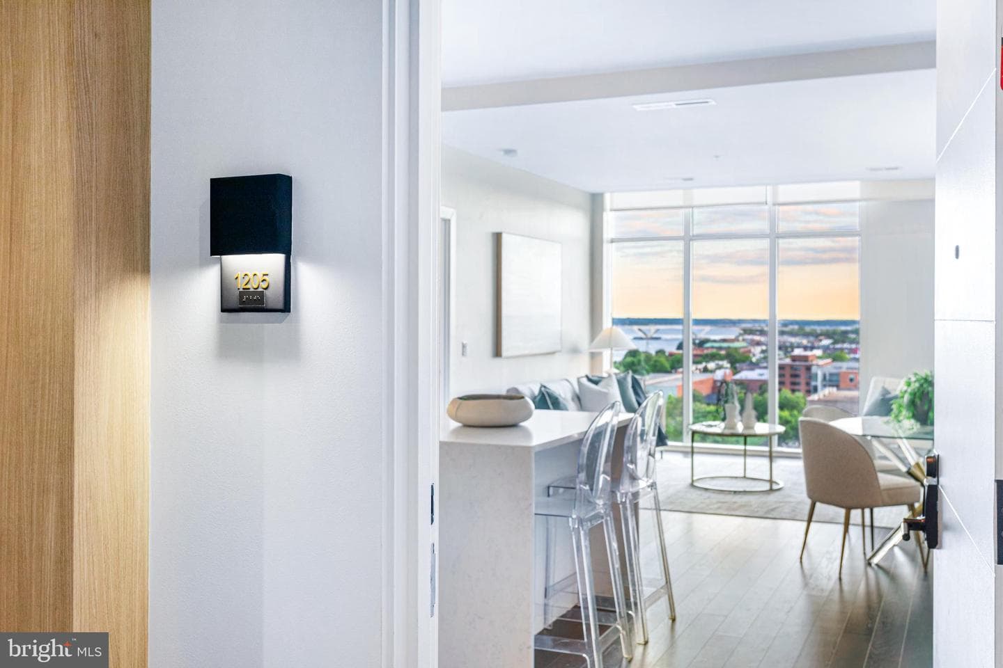925 N Fairfax Street #1205 photo 23